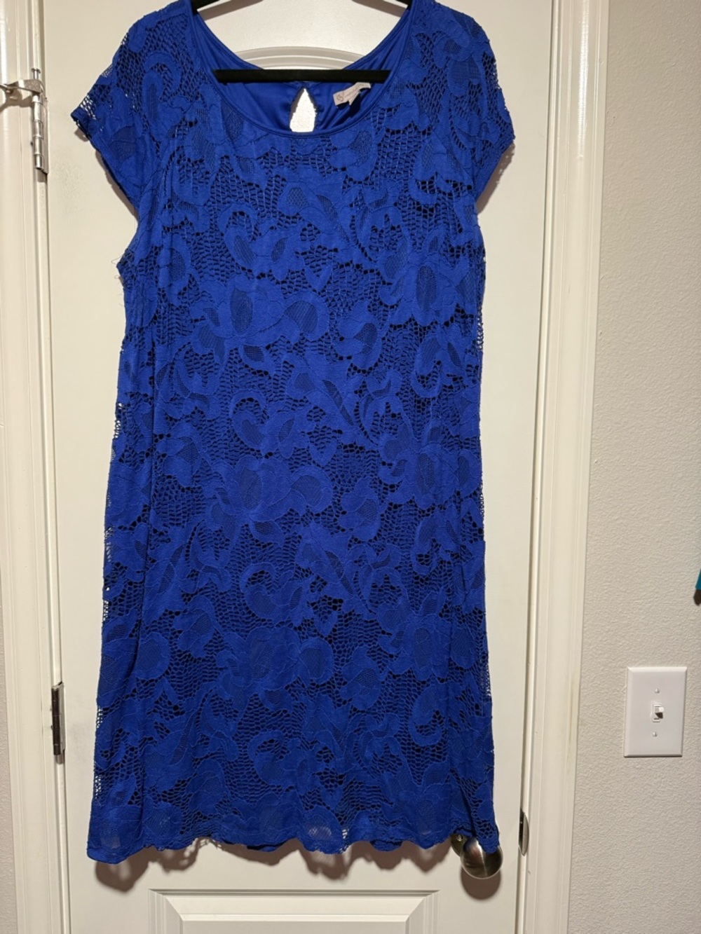 Dress Barn Royal Blue Lace Midi Dress